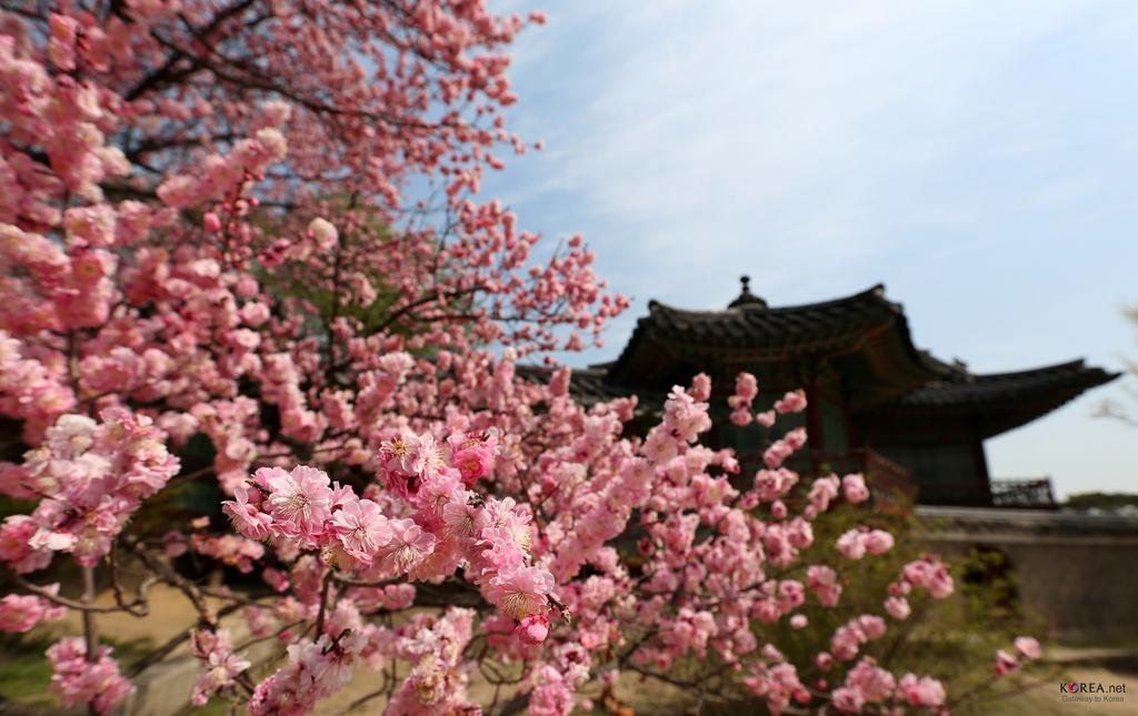 Seoul Forest Guesthouse Exterior foto